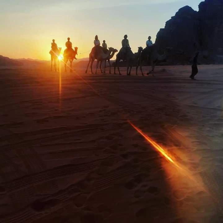 Wadi Rum Oryx Land Eksteriør billede