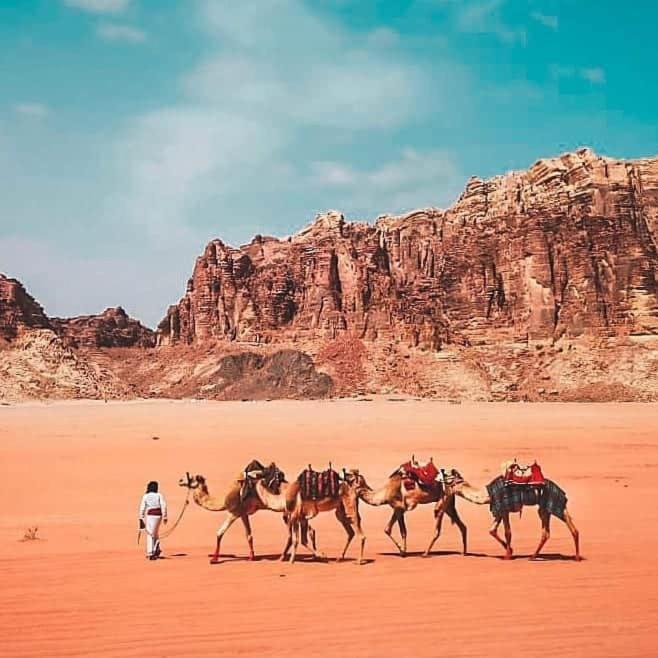 Wadi Rum Oryx Land Eksteriør billede