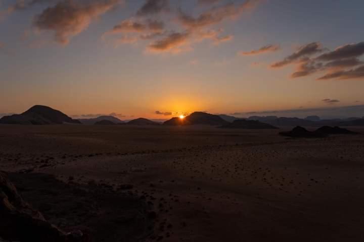 Wadi Rum Oryx Land Eksteriør billede