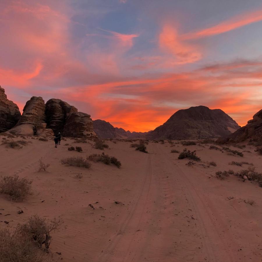 Wadi Rum Oryx Land Eksteriør billede